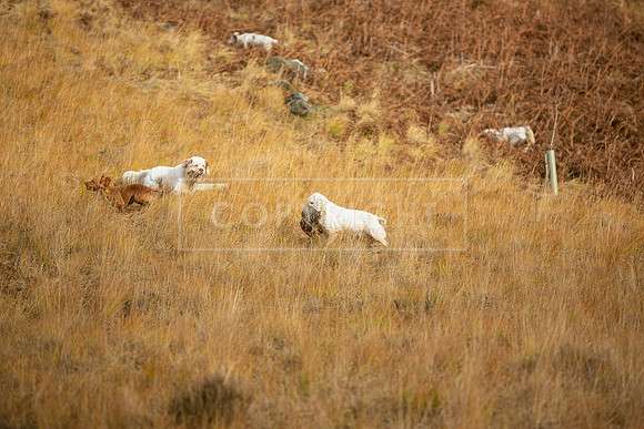 Upperwood 25th Nov-159