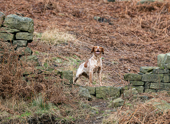 Upperwood 25th Nov-168