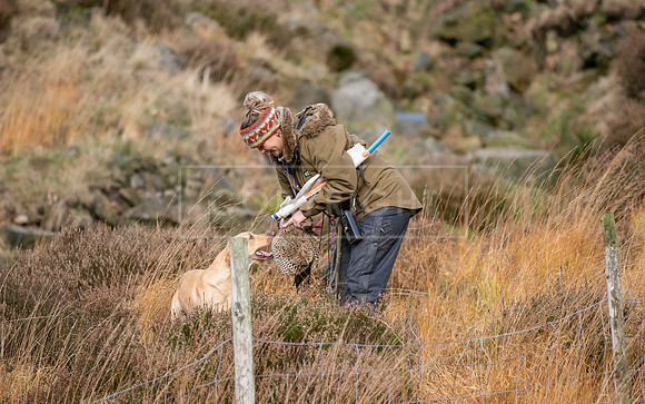 Upperwood 25th Nov-171