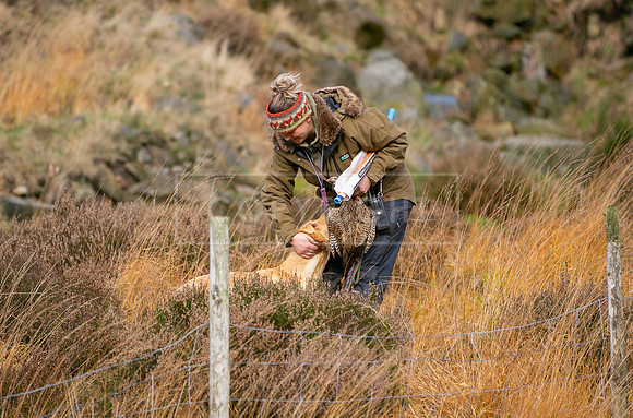 Upperwood 25th Nov-172