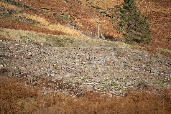 Upperwood 25th Nov-239