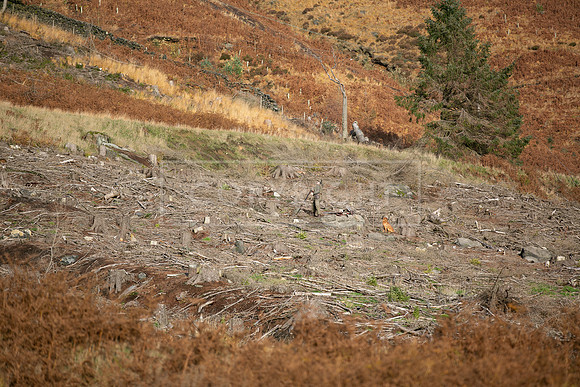 Upperwood 25th Nov-240