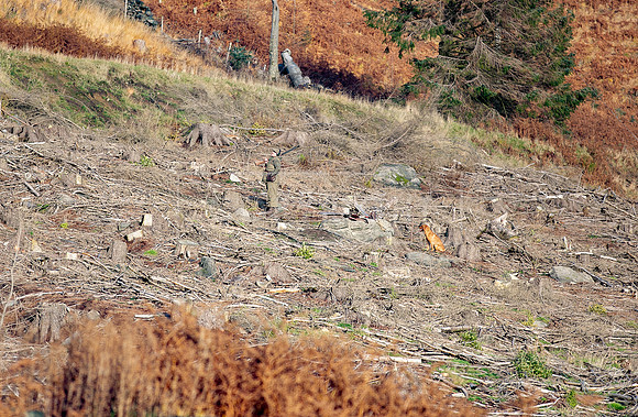 Upperwood 25th Nov-248