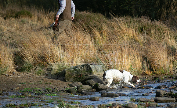 Upperwood 25th Nov-293