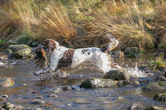 Upperwood 25th Nov-297