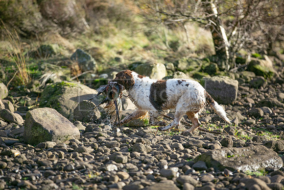 Upperwood 25th Nov-296