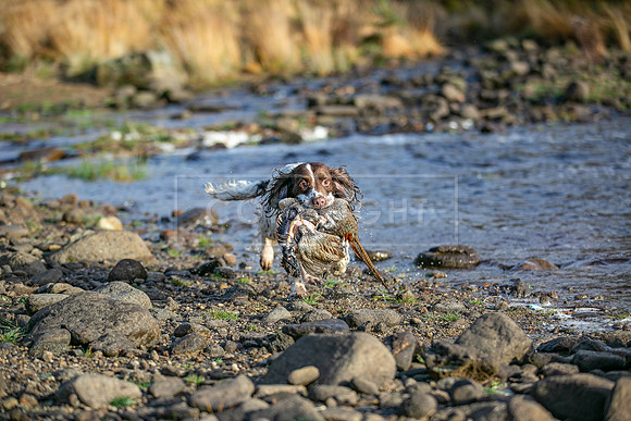 Upperwood 25th Nov-299