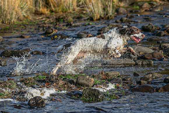 Upperwood 25th Nov-303