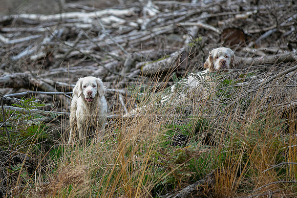 Upperwood 25th Nov-318