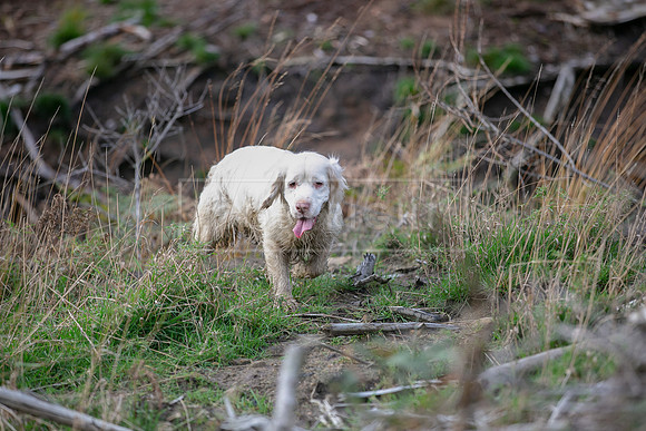 Upperwood 25th Nov-319
