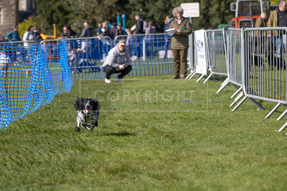 Thoresby Sun 30th Mar 25-100