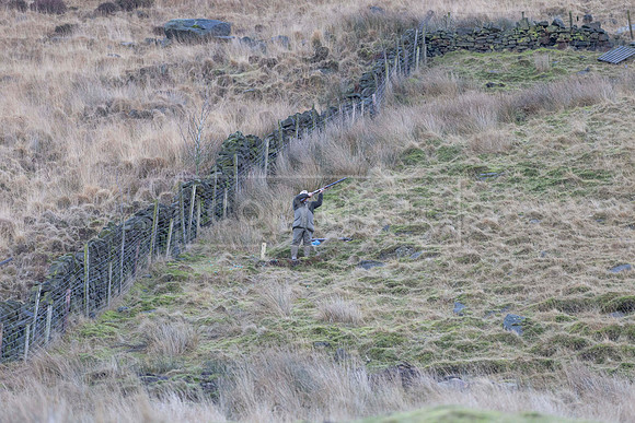 Upperwood 16th Jan 2026-83