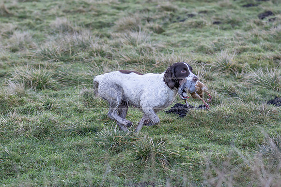Upperwood 16th Jan 2026-128