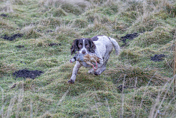 Upperwood 16th Jan 2026-130