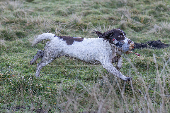 Upperwood 16th Jan 2026-129