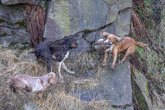 Upperwood 16th Jan 2026-252