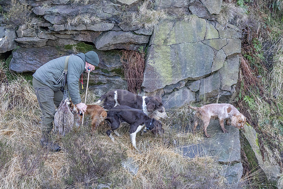 Upperwood 16th Jan 2026-253