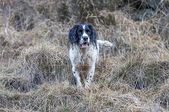 Upperwood 16th Jan 2026-255