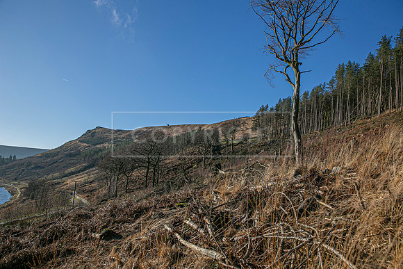 Upperwood 16th Jan 2026-275