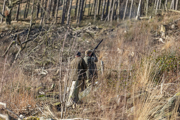 Upperwood 16th Jan 2026-277