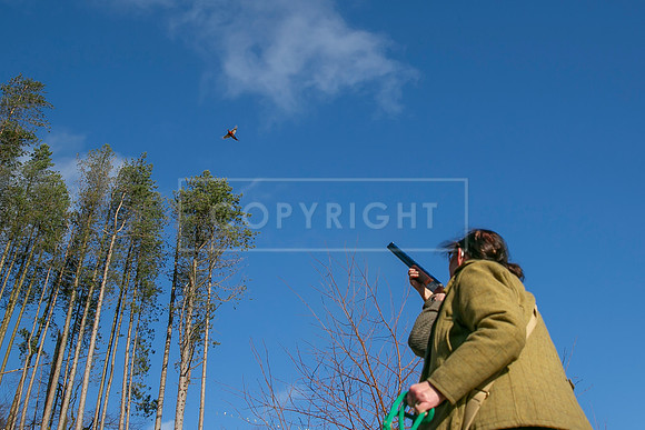 Upperwood 16th Jan 2026-283