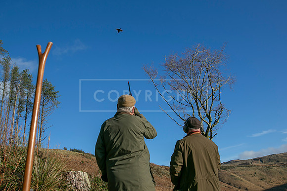 Upperwood 16th Jan 2026-291