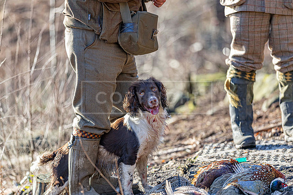 Upperwood 16th Jan 2026-308