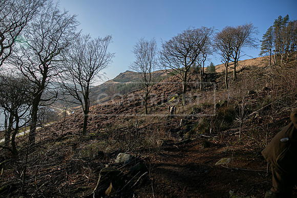 Upperwood 16th Jan 2026-322