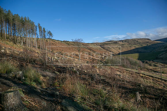 Upperwood 16th Jan 2026-324
