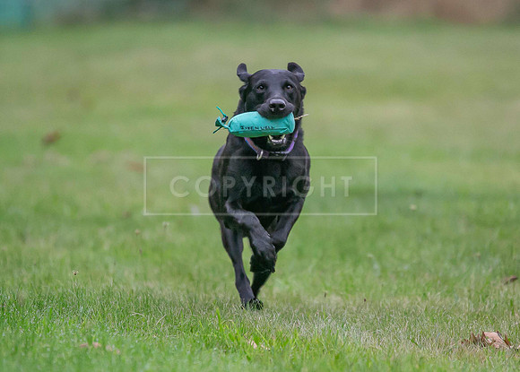 Jixenwell Scurry Challenge Final 2024-0094