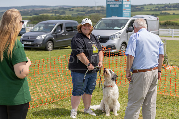 Scruffts heat @ Wadebridge 13th July 2025-141