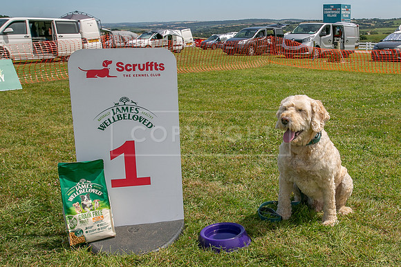 Scruffts heat @ Wadebridge 13th July 2025-124