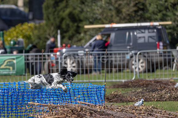 Thoresby Sun 30th Mar 25-058