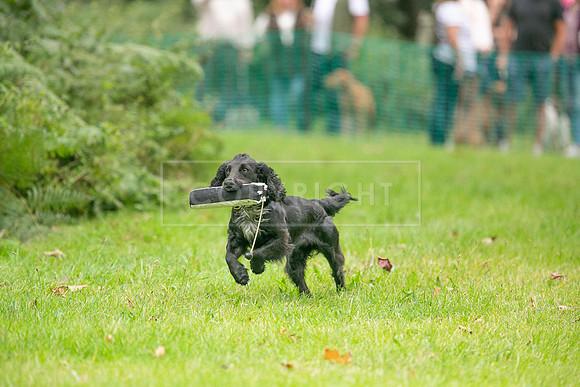 Jixenwell Scurry Challenge Final 2024-0264