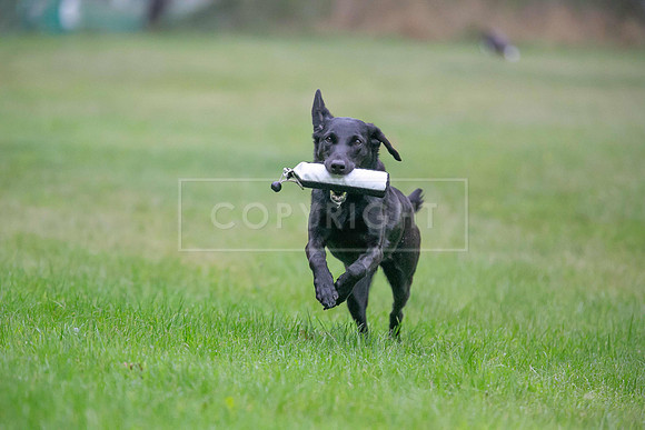 Jixenwell Scurry Challenge Final 2024-0119