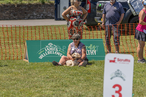 Scruffts heat @ Wadebridge 13th July 2025-22