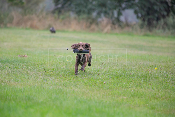 Jixenwell Scurry Challenge Final 2024-0220