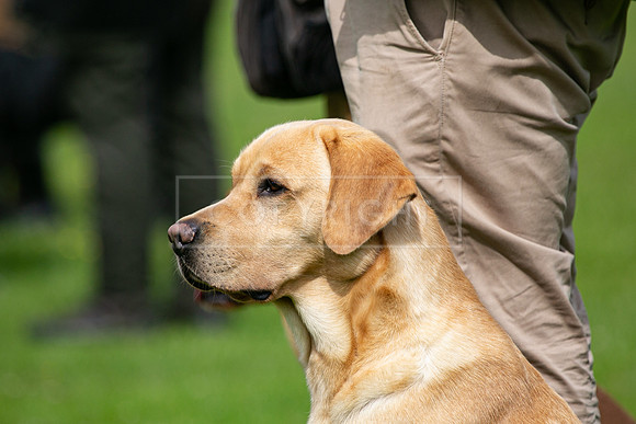 Int Retriever Day 1 -040