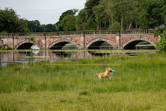 Int Retriever Day 1 -063
