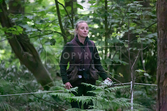 Open Spaniel-021