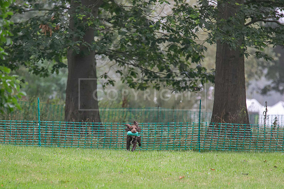 Jixenwell Scurry Challenge Final 2024-0226
