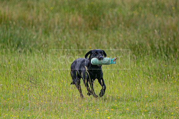 Int Retriever Day 1 -047