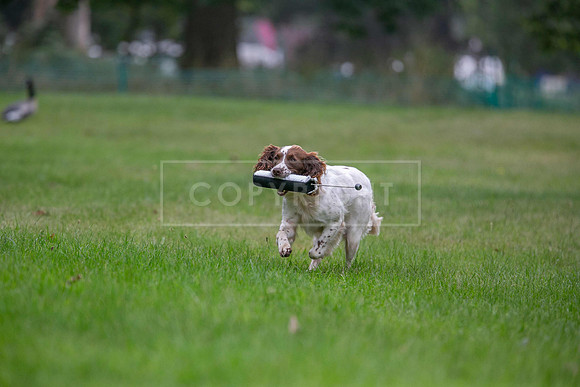 Jixenwell Scurry Challenge Final 2024-0355