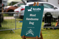 Scruffts heat @ Newbury 12th April 2026-3