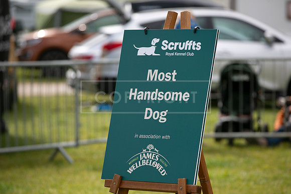 Scruffts heat @ Newbury 12th April 2026-3