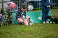 Scruffts heat @ Newbury 12th April 2026-4
