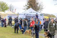 Scruffts heat @ Newbury 12th April 2026-6
