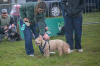 Scruffts heat @ Newbury 12th April 2026-7
