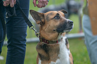 Scruffts heat @ Newbury 12th April 2026-10