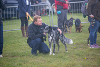 Scruffts heat @ Newbury 12th April 2026-8